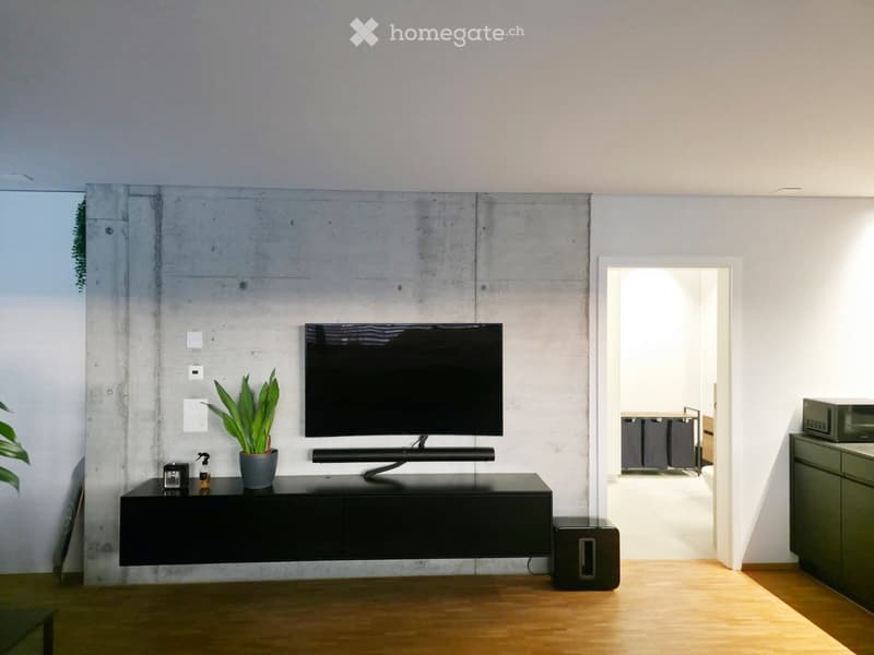 Modern living room with a sleek black TV on a dark wooden console, a potted plant, and a speaker on the floor. The room features a concrete accent wall and wooden flooring.