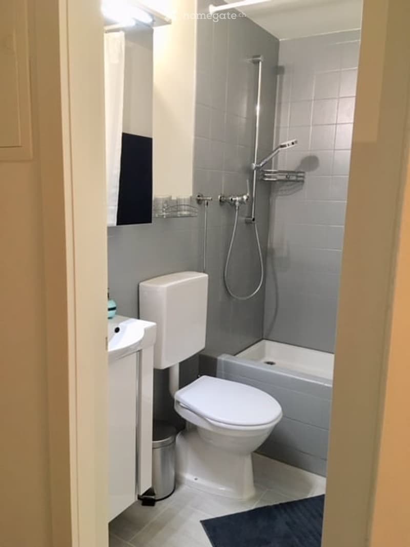Modern bathroom with grey tiles, white toilet, sink, bathtub, and shower. Includes a mirror and towel rack.