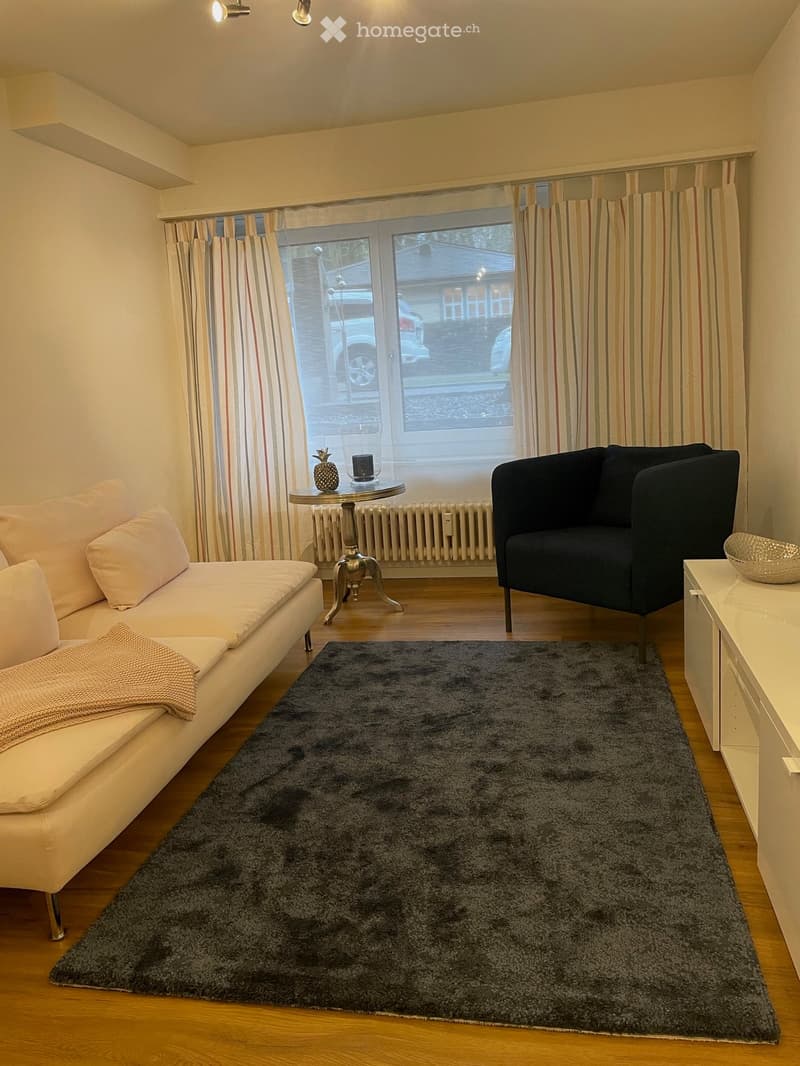 Modern living room with a light-colored sofa, dark armchair, small round table, grey shag rug, and sideboard. Large window with striped curtains overlooks a street scene.