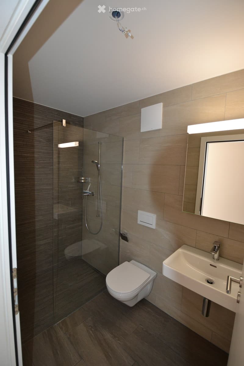Modern bathroom with a glass-enclosed shower, toilet, sink, and mirror. The walls are tiled in a neutral tone, and the floor is made of dark wood.
