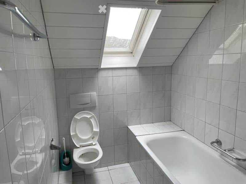 small bathroom with bathtub, toilet, and skylight
