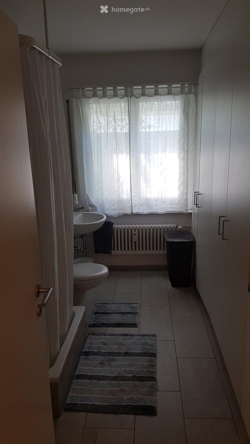 Bathroom with a sink, toilet, radiator, and two rugs on the floor. The room has a window with a curtain and a door with a handle.
