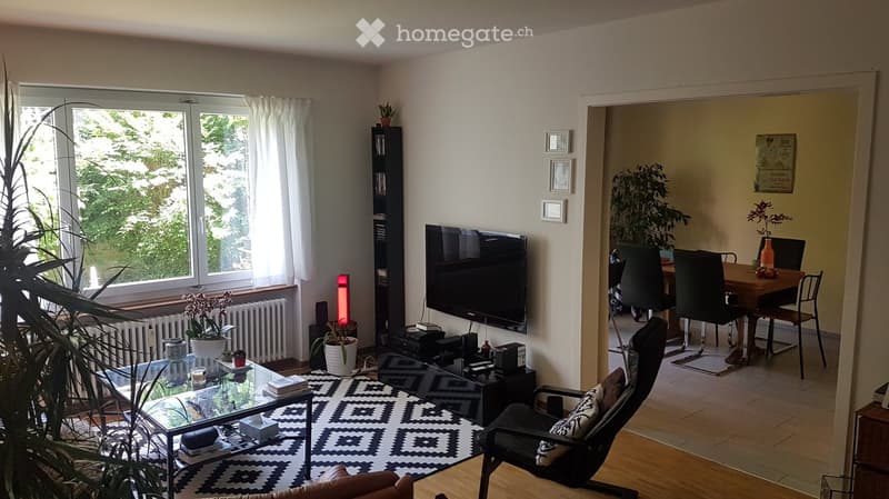 Living room with a glass coffee table, sofa, chair, television, bookshelf, and plants. The room has large windows with white curtains and a view of greenery outside.