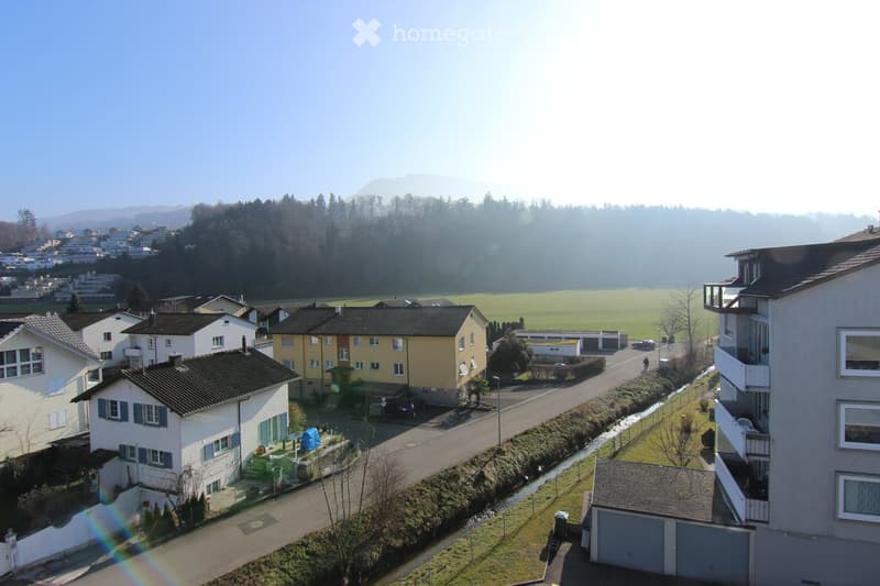 Residential street with multiple houses, garages, and a view of a green field and distant mountains.