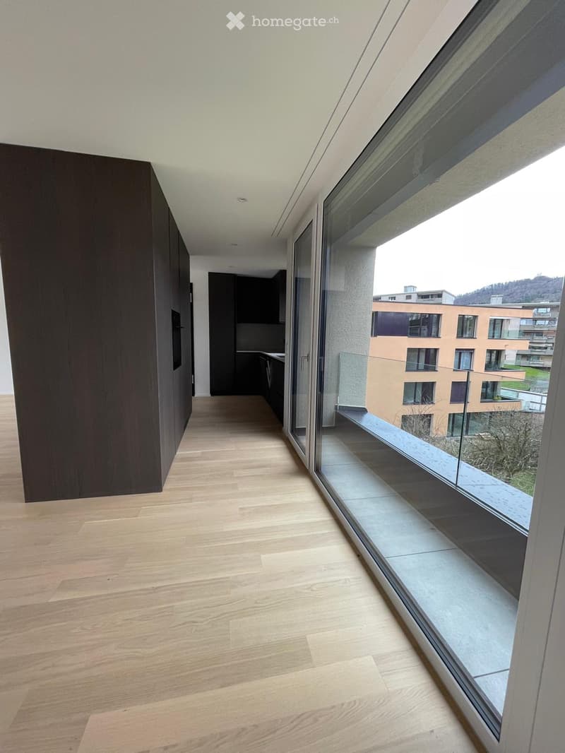 Modern hallway with light wooden flooring, large glass wall leading to a balcony, and dark wooden cabinetry on one side.