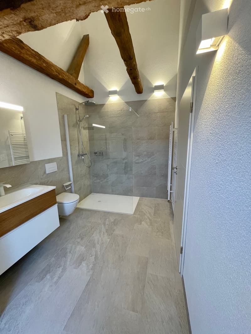 Modern bathroom with a large glass-enclosed shower, a white sink with wooden cabinetry, and a toilet. Exposed wooden beams on the ceiling and recessed lighting.