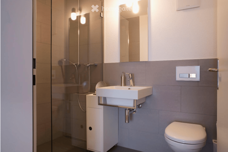 Modern bathroom with a white sink, chrome faucet, mirror, toilet, and a glass-enclosed shower area.