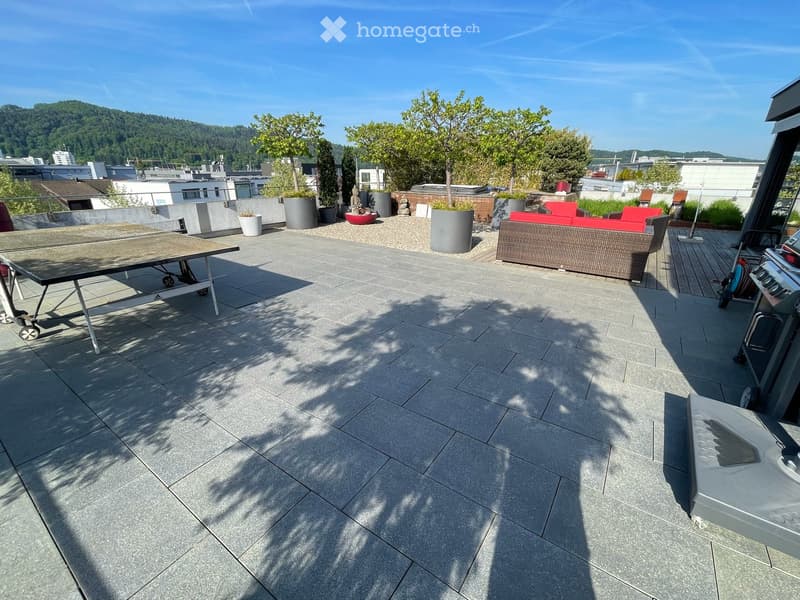 Attikawohnung mit unvergleichlicher Privatsphäre und Panorama (4)
