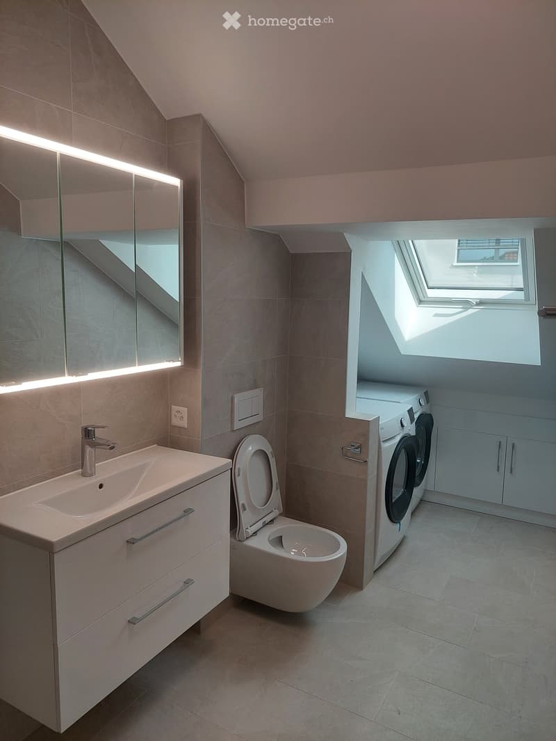 Modern bathroom with a sink, toilet, and washing machine, featuring a skylight window and sleek design.
