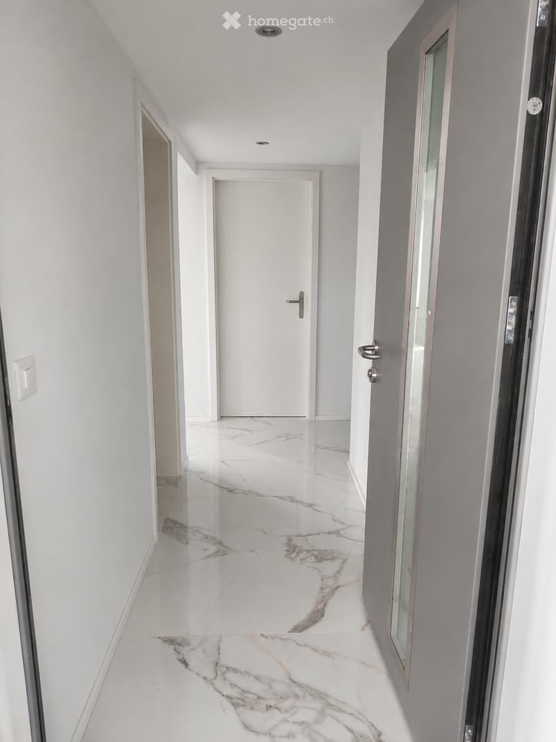 Modern hallway with white walls, marble flooring, and several doors including a white door and a glass-paned door.
