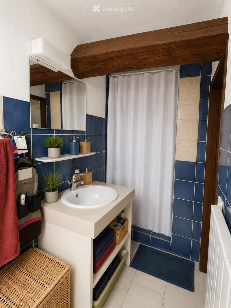 Bathroom with a sink, mirror, towel rack, and shower curtain. Features blue tiles, a wooden ceiling beam, and decorative plants on the shelves.