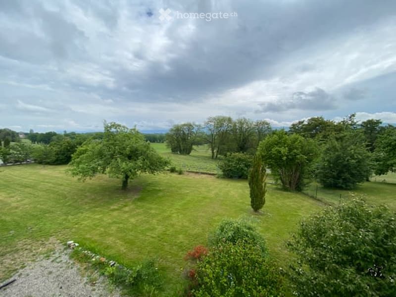 A large, well-maintained lawn with scattered trees and shrubs, surrounded by open fields and distant hills under a partly cloudy sky.