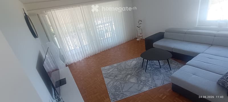 Modern living room with a grey sectional sofa, black coffee table, patterned rug, large screen, and a small table with a flower pot.