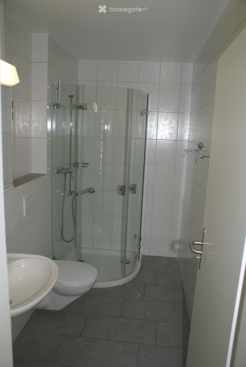 Modern bathroom with a glass-enclosed shower stall, a white toilet, and a sink. The walls are tiled in light gray, and the floor is covered with dark gray tiles.