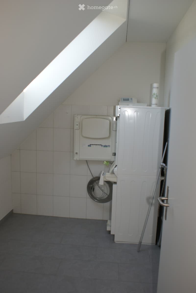 A small, well-lit bathroom with a washing machine, dishwasher, and a drum paddle, featuring tiled walls and a dark tiled floor.