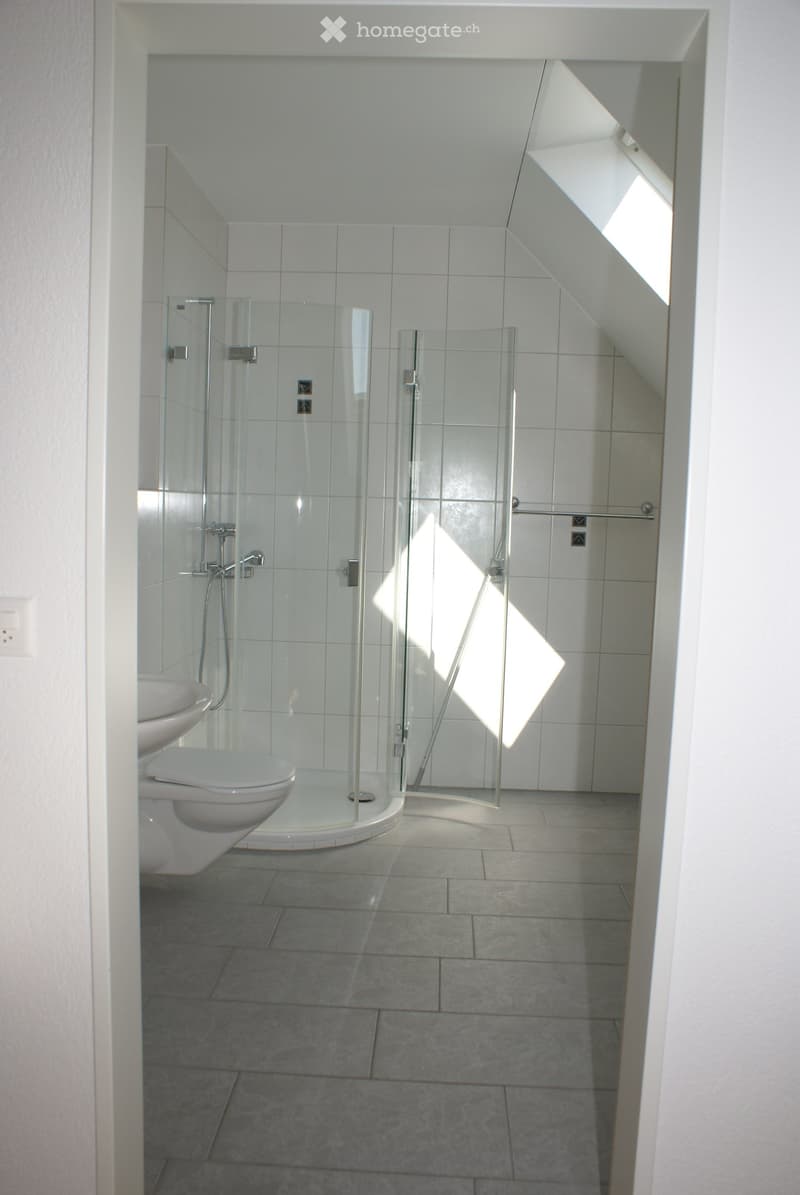 Modern bathroom with a glass-enclosed shower, toilet, and sink. The space features tiled walls and a sloped ceiling with a skylight allowing natural light to enter.