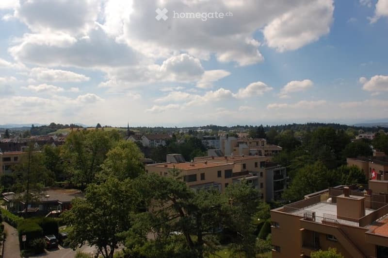 A panoramic view from a balcony or terrace overlooking a suburban neighborhood with houses, trees, and distant hills under a partly cloudy sky.