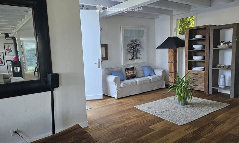 Modern living room with light-colored sofa, decorative pillows, a tall floor lamp, wooden bookshelf, and a potted plant on a white rug.