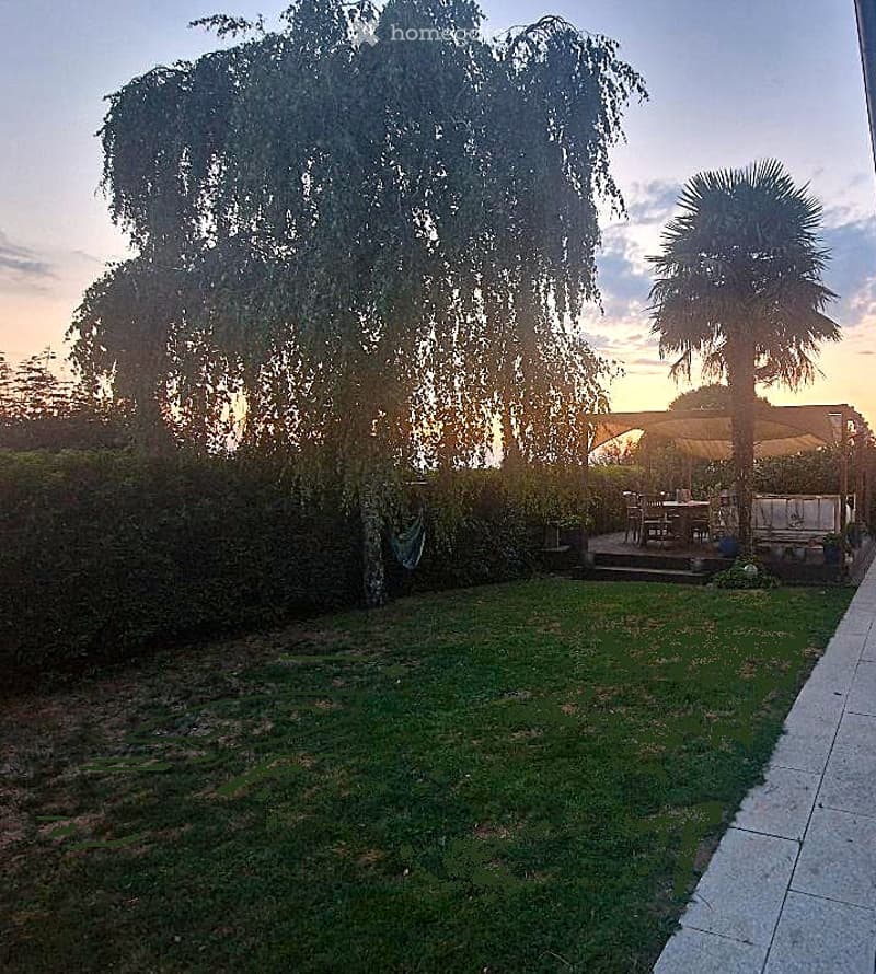 A well-maintained garden with a lush green lawn, tall trees, and a patio area with outdoor furniture.