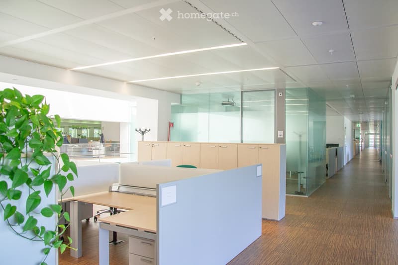 Modern office space with desks, chairs, cabinets, and a plant, featuring glass partitions and a polished wooden floor.