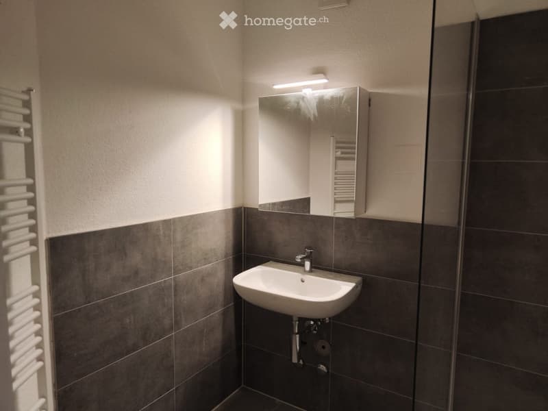 Modern bathroom with a white sink, dark grey tiles, a mirrored cabinet, and a white radiator on the left side.