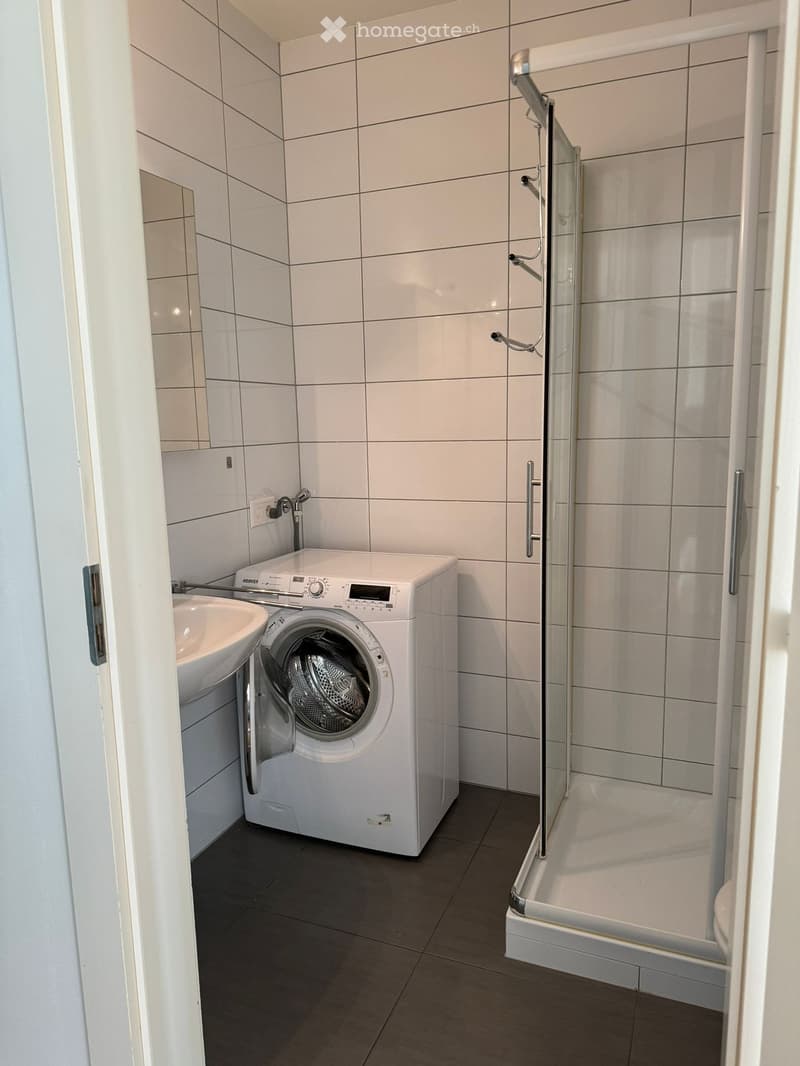 Modern bathroom with white tiles, a washing machine, a sink, and a glass-enclosed shower with a grab bar.
