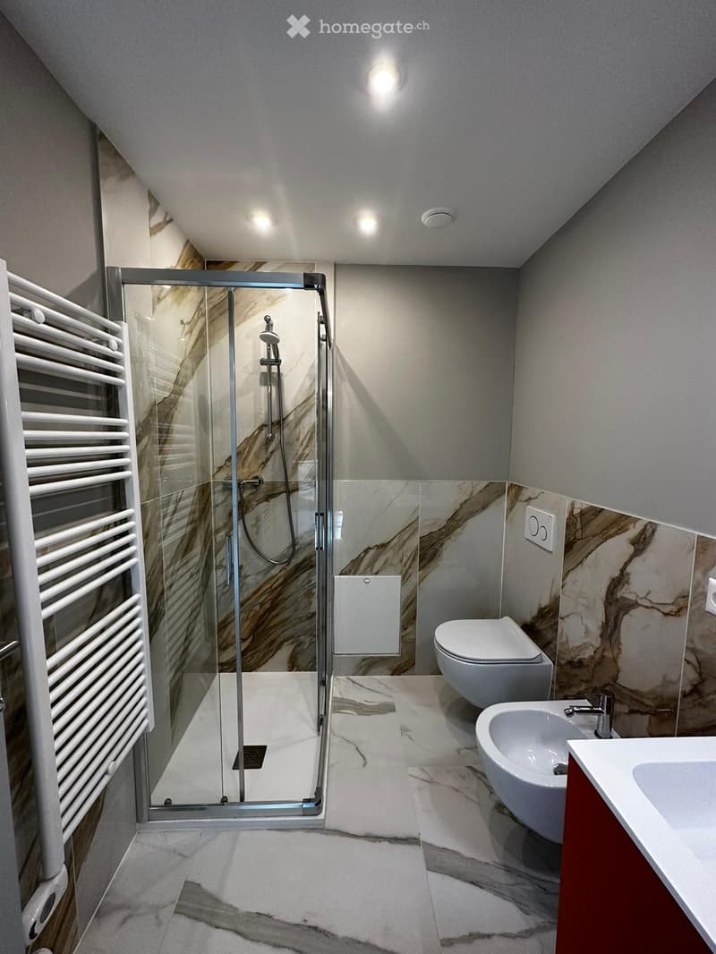 Modern bathroom with marble tiles, glass-enclosed shower, toilet, sink, and radiator.