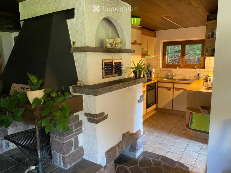 The image shows a cozy kitchen with a stone fireplace, wooden cabinets, a sink, and a countertop. There are potted plants and decorative items on the fireplace mantel.