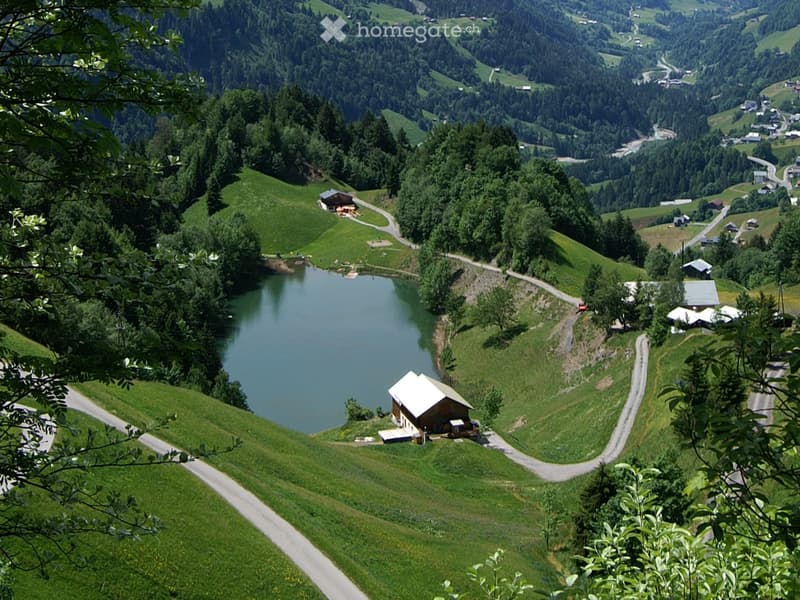 A scenic view of a lush, green valley with a lake, scattered houses, and winding roads surrounded by dense forests and rolling hills.