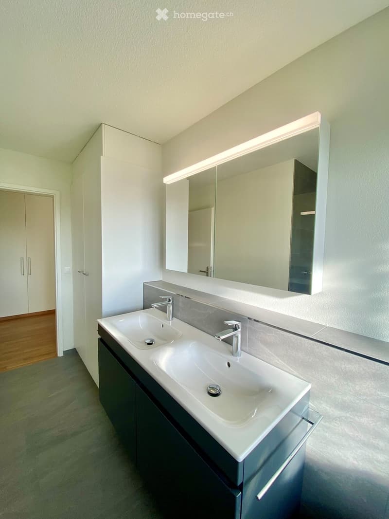 modern bathroom, double sink, white countertop, silver faucets, large mirror with built-in lighting, dark cabinet, white storage closet