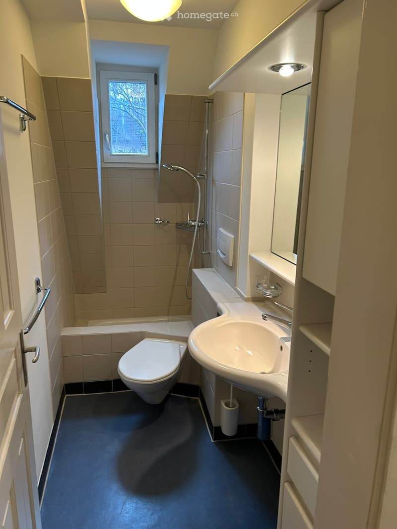 Modern bathroom with a toilet, sink, mirror, and shower area. Features built-in cabinets and a window with frosted glass.