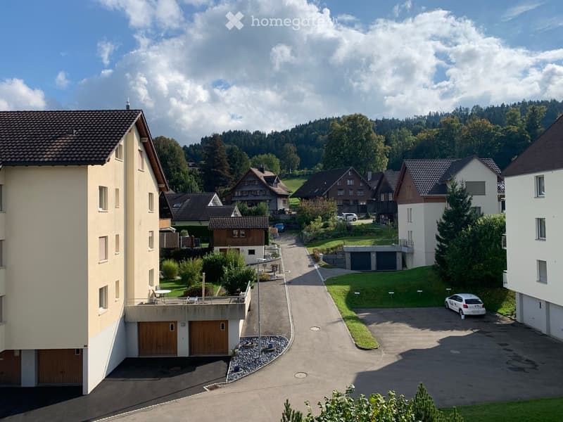 Residential area with multiple houses, garages, and a parking lot surrounded by greenery and trees.