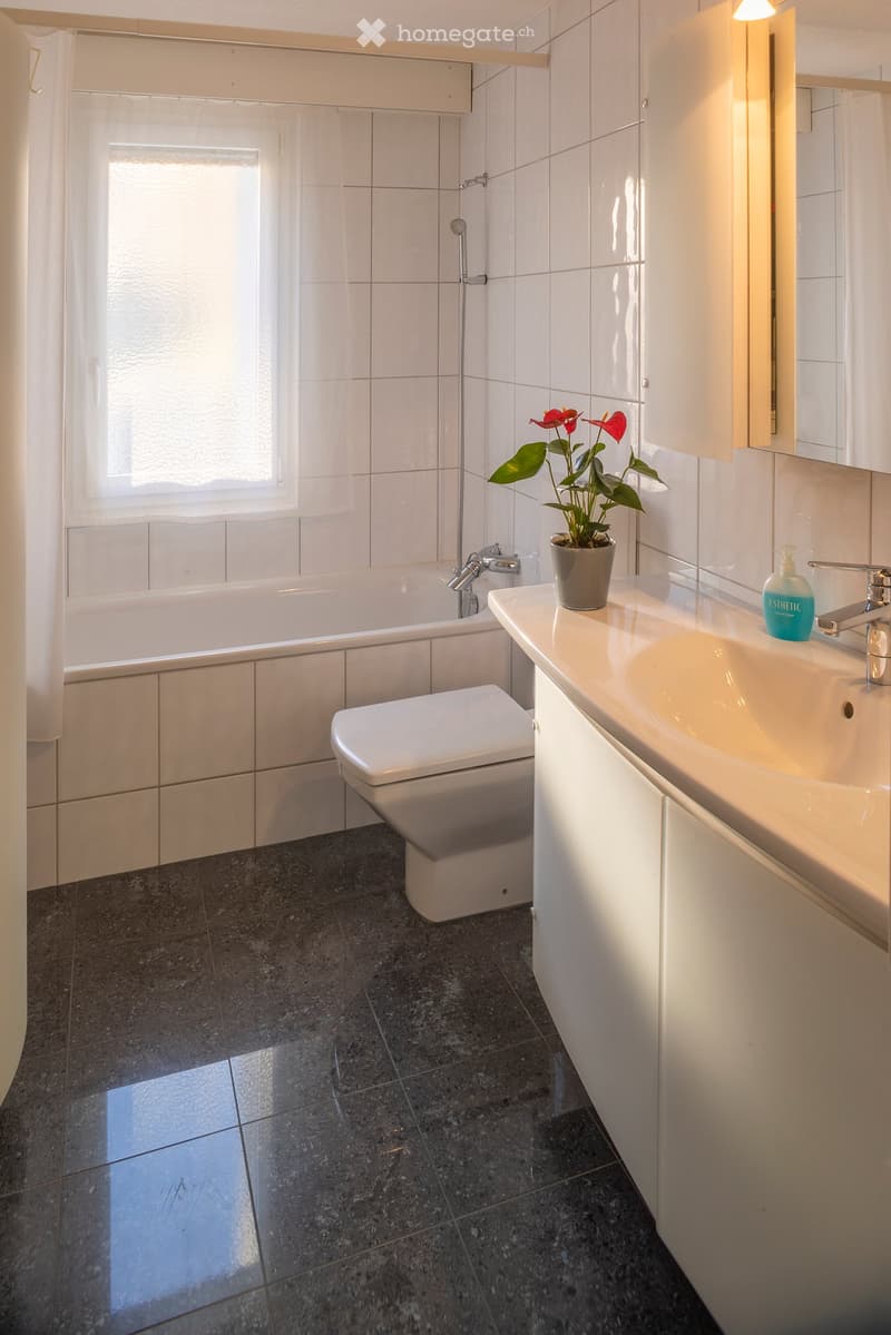 white tiles, bathtub, toilet, sink, mirror, potted plant, shower head