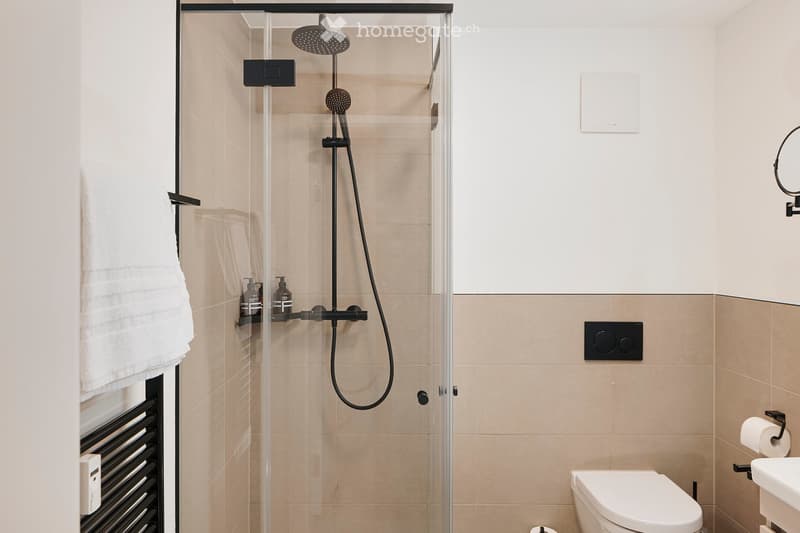 Modern bathroom with a glass-enclosed shower, a toilet, a sink, a towel, a mirror, and a radiator.