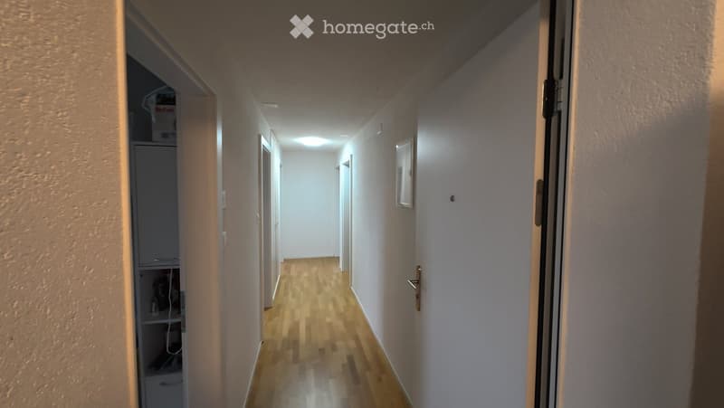 A narrow hallway with wooden flooring, white walls, and several doors leading to different rooms. A small cabinet is visible on the left side.