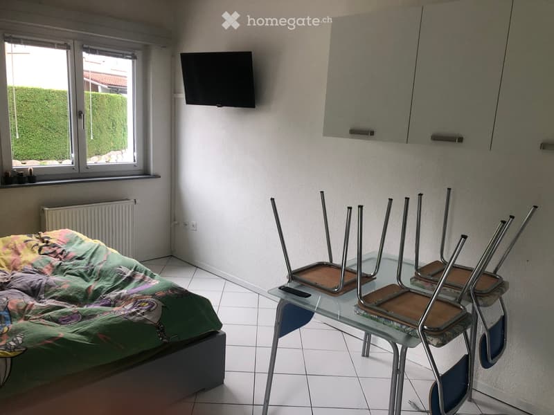 Bedroom with a bed, TV mounted on the wall, a radiator, a glass table, and chairs. A window on the left side provides a view of a hedge and plants.