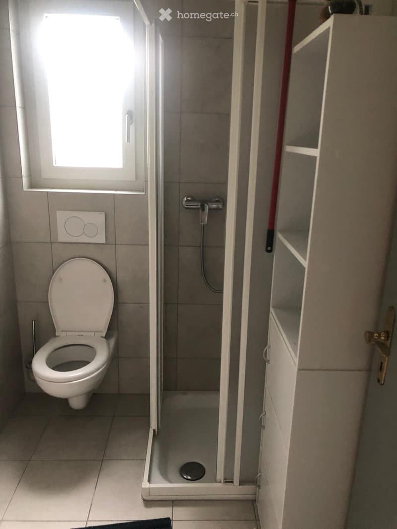 Modern bathroom with tile floor, white shower cubicle, toilet, shelf, and showerhead.