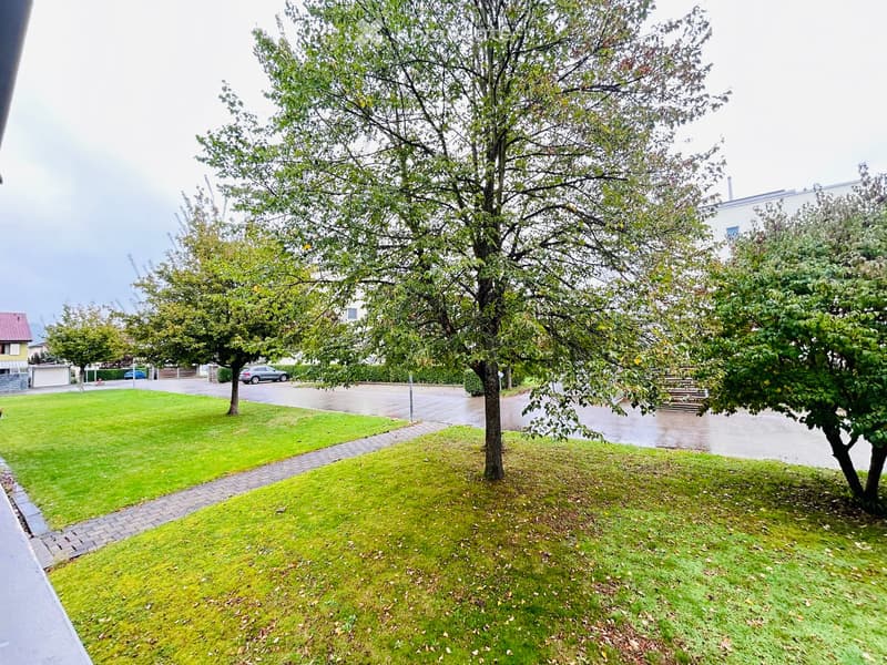 Well-maintained lawn with trees, a paved pathway, and a parking area with a few cars in the background.