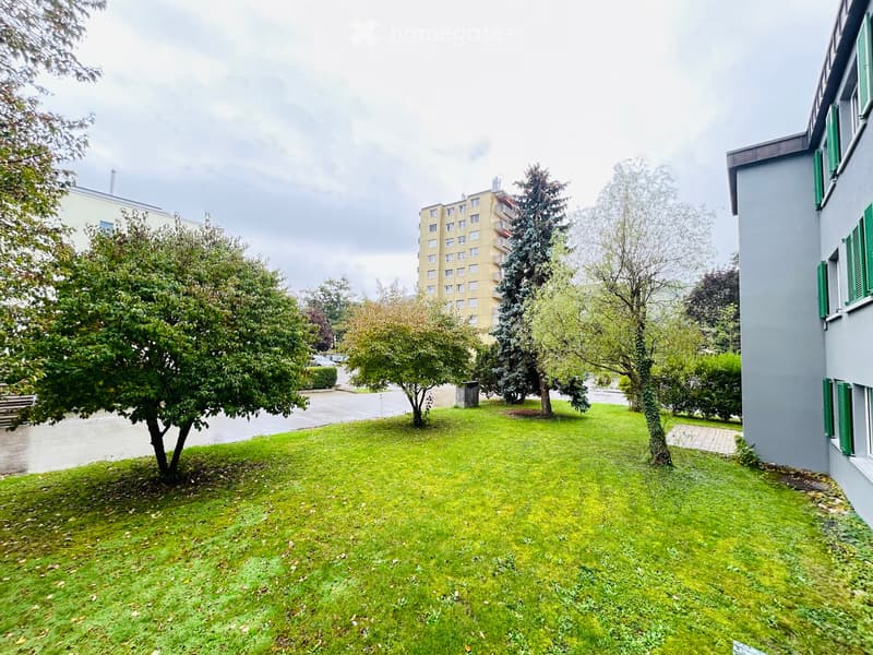 Well-maintained lawn with several trees and shrubs, bordered by a building with green shutters and a multi-story apartment building in the background.