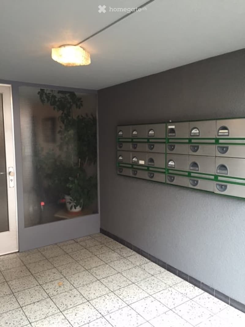 Hallway with mailboxes, a potted plant, and a light fixture on the ceiling.