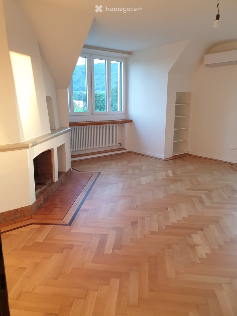 Empty room with wooden herringbone flooring, white walls, large windows with scenic view, fireplace, built-in shelving, and radiator.