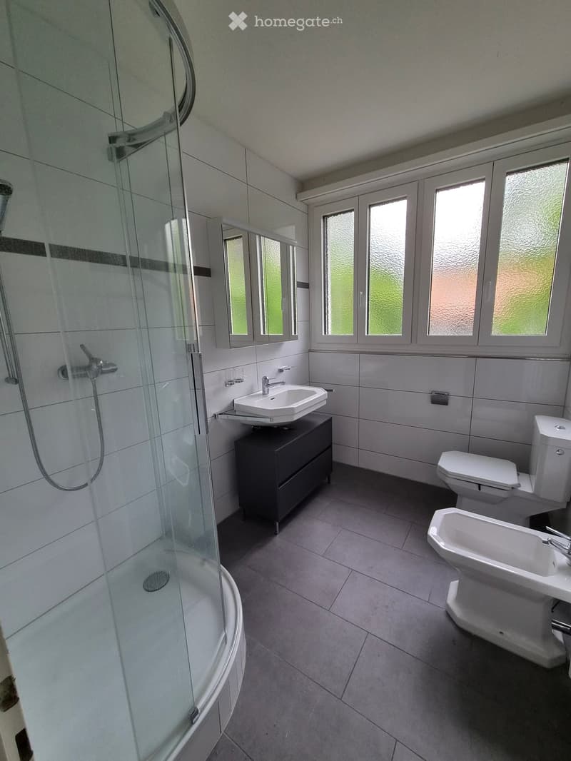 Modern bathroom with white tiles, a glass-enclosed shower, a toilet, a sink with a cabinet, and a mirror above the sink.