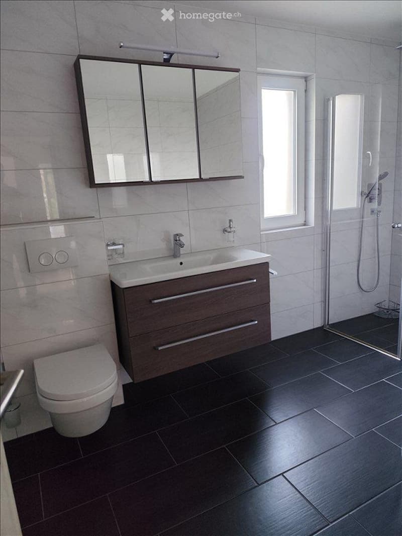 Modern bathroom with dark tiled floor, white sink with wooden cabinet, toilet, large mirror, and glass shower enclosure.