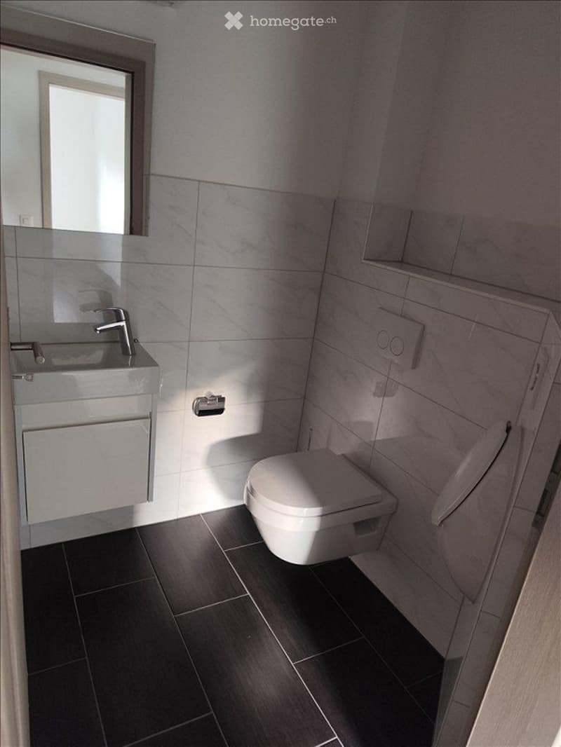 Modern bathroom with white tiles, dark floor tiles, a sink with a faucet, a toilet, a mirror, and a shelf.