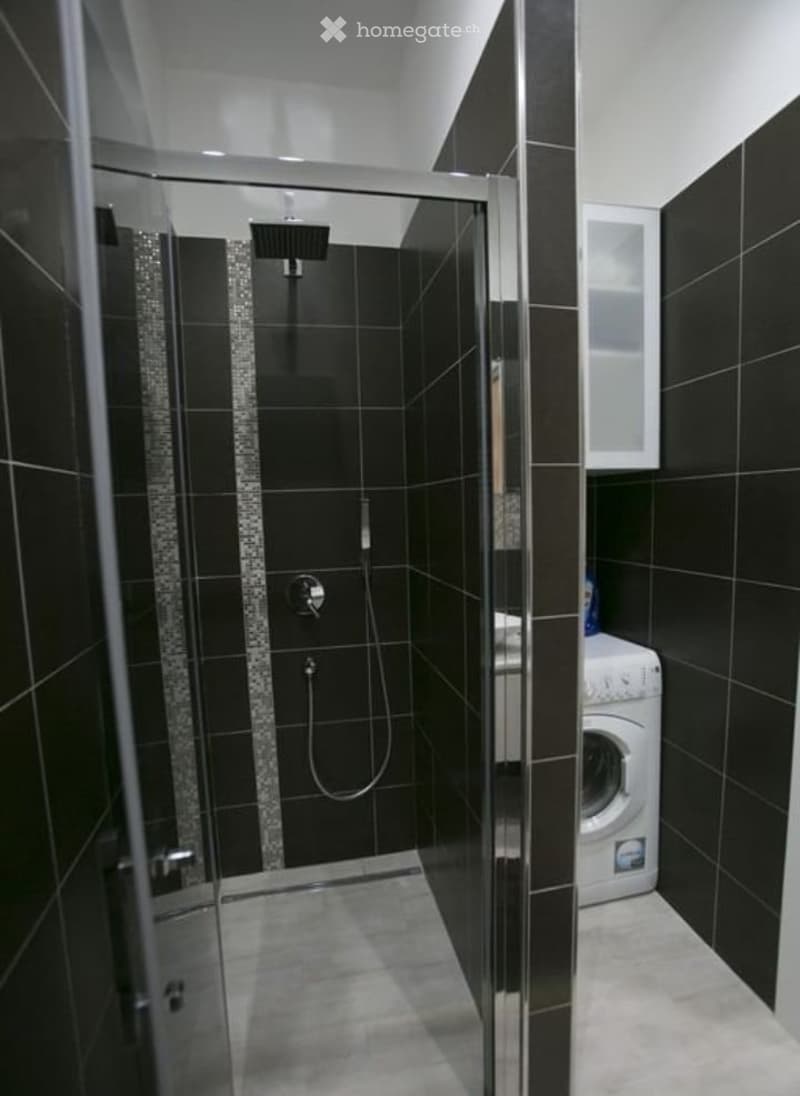 Modern bathroom with black tiled walls, glass-enclosed shower, and a private washing machine.