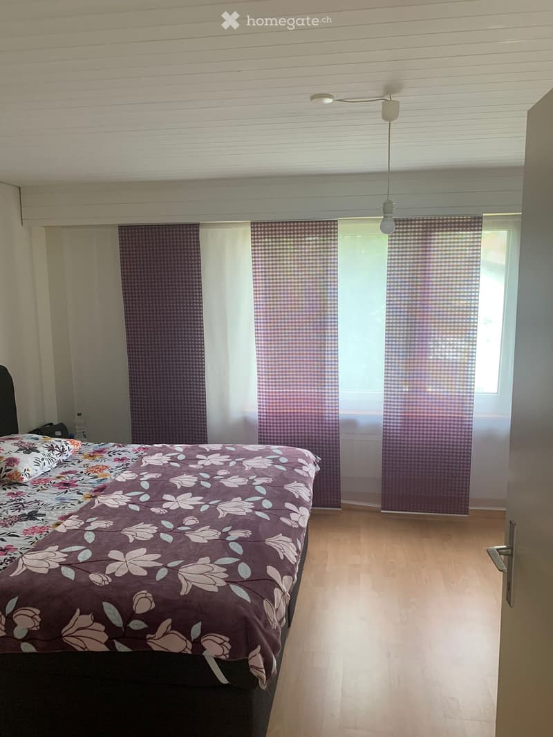 Schöne, helle 4.5 Zimmer in Hadlikon-Hinwil (5)