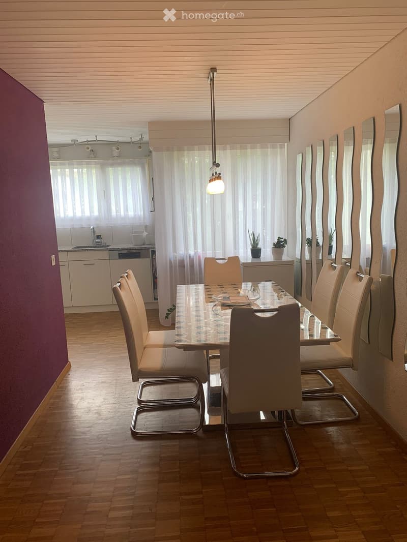 Schöne, helle 4.5 Zimmer in Hadlikon-Hinwil (10)