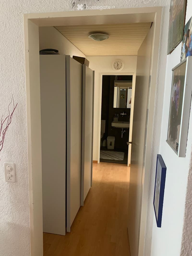 Schöne, helle 4.5 Zimmer in Hadlikon-Hinwil (11)