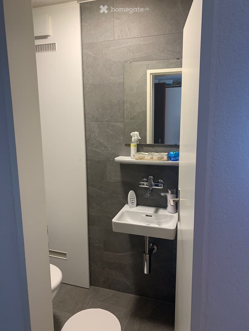 Schöne, helle 4.5 Zimmer in Hadlikon-Hinwil (3)