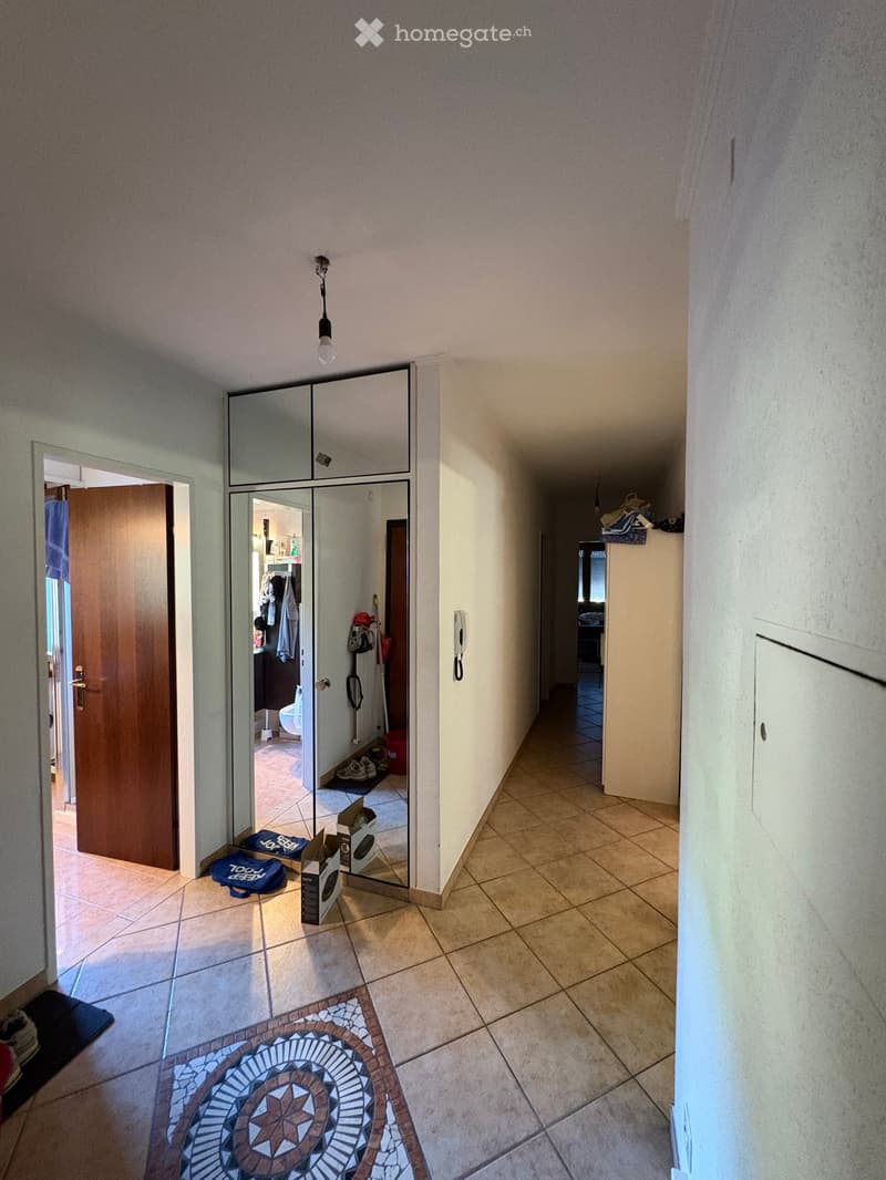 A narrow hallway with tiled flooring, a decorative mosaic rug, and a mirrored closet. The hallway leads to a bathroom and other rooms, with a light fixture hanging from the ceiling.